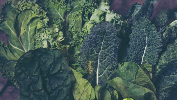 Antientzündliche Ernährung: Dein Weg zu besserer Gesundheit